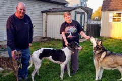 Angel-adoption
