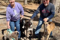 Aspen-adoption