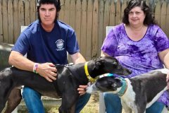 Boomer-adoption