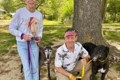 Bugsy-adoption