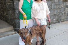 Chelsea-adoption-