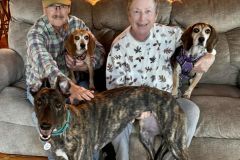 Cocoa-adoption