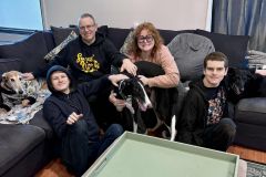 Comet-adoption