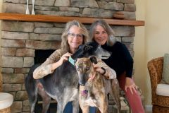 Delilah-adoption
