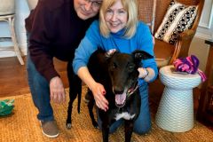 Fun-adoption-