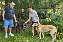 Honey-Tilly-adoption