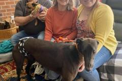 Ian-adoption