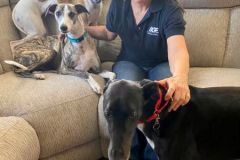 Indy-adoption-small