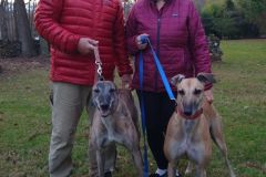 Jack-adoption-