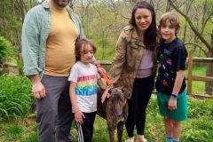 Joey-adoption