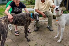 Libby-adoption