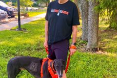 Max-adoption