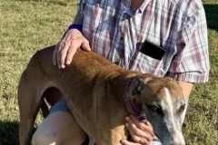 Myrtle-adoption