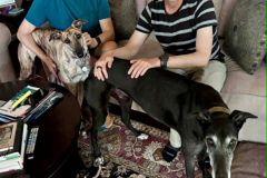 Prada-adoption