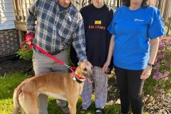 Red-adoption