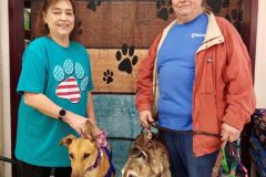 Shae-adoption