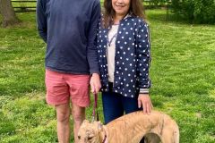 Sharkie-adoption
