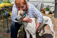 Sienna-adoption