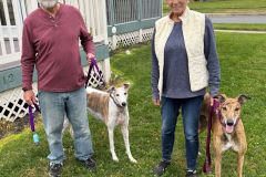 clown-adoption-photo