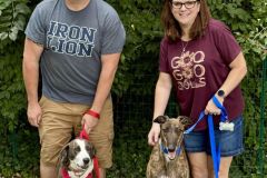 deuce-adoption