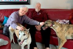 jerry-adoption