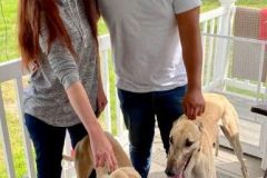 lego-adopted