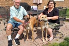 oaky-adoption