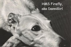 HMS-Firefly-aka-DanniGirl