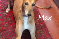 Max