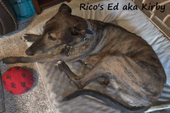 Ricos-Ed-aka-Kirby