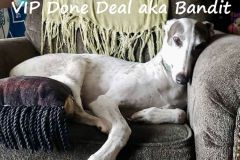 VIP-Done-Deal-aka-Bandit